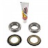 [해외]PIVOT WORKS 스티어링 베어링 키트 Honda CRF 250R 14-16/45Or 13-16 9140323202 Silver