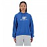 [해외]뉴발란스 Sport Essentials French Terry Logo 후드티 140541704 Blue Agate