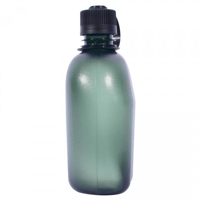 [해외]PINGUIN Tritan Flask 1L 병 6139342318 Green