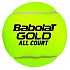 [해외]바볼랏 테니스 공들 Gold All Court 12137437408 Yellow