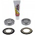 [해외]PIVOT WORKS Honda Cr 125 R 90-92/250 R 90-91/500 R 90-04/Xr 650R 00-07 스티어링 베어링 키트 9140323109 Silver