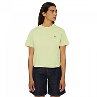[해외]디키즈 Oakport 반팔 티셔츠 9140581416 Pale Green