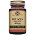 [해외]SOLGAR Folacin 400mcgr 100 단위 6138036036 Brown