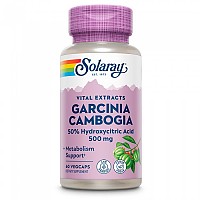 [해외]SOLARAY Garcinia Cambogia 500mgr 60 단위 6138063330