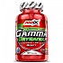 [해외]AMIX 천연 동화캡슐 Gamma Oryzanol 120 단위 6140606780