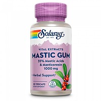 [해외]SOLARAY Mastic Gum 500mgr 45 단위 4138063630 Pink