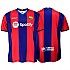 [해외]FC BARCELONA 반소매 티셔츠 Take-down 3140714164 Blaugrana