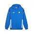 [해외]푸마 풀 지퍼 스웨트셔츠 Manchester City Ftblarchive 3140131424 Racing Blue / Team Light Blue