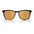 [해외]COSTA Sullivan Polarized 4140615004 Tortoise