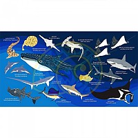 [해외]오셔나리움 수건 Sharks & Rays L 6137681026 Dark Blue / Multicolor