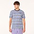 [해외]오클리 APPAREL Blurrred Stripes 반팔 티셔츠 1140222984 Blurred Stripe Mc
