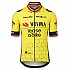 [해외]AGU Visma | Lease a Bike Replica Former Belgian Champion 2024 반팔 저지 1140729694 Multicolor