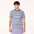 [해외]오클리 APPAREL Blurrred Stripes 반팔 티셔츠 9140222984 Blurred Stripe Mc