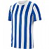 [해외]나이키 Dri Fit Division 4 Striped 반팔 티셔츠 3140109168 White / Royal Blue / Black