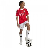 [해외]아디다스 Benfica Lisboa SMU 24/25 반팔 티셔츠 홈 15141010676 Benfica Red