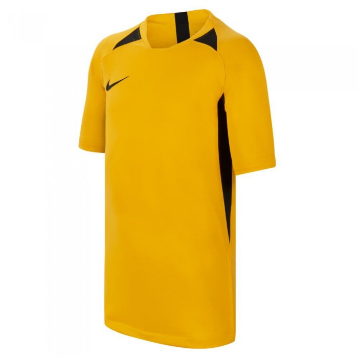 [해외]나이키 Dri Fit Striker V 반팔 티셔츠 15140480769 Gold