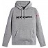 [해외]알파인스타 Linear Wordmark V3 후드티 9140721689 Gray Heather / Red / Black