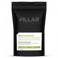 [해외]PILLAR PERFORMANCE 파인애플코코넛 Triple Magnesium Professional Recovery 200g 4140753952