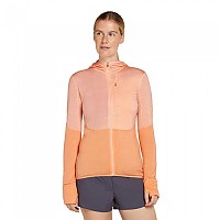 [해외]아이스브레이커 Merino 200 Real플리스 Descender 풀지퍼 스웨트셔츠 4141265081 Sunstone / Feldspar / Cb