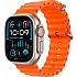 [해외]APPLE Watch Ultra 2 GPS+Cellular Ocean 49 mm 6140370831 Orange