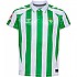 [해외]험멜 Real Betis 24/25 주니어 홈 반팔 티셔츠 3141131104 Fern Green / White