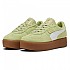 [해외]푸마 Palermo Elevata 운동화 141452425 Pistachio Green / Gum