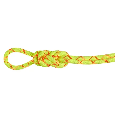 마무트 Alpine Core Protect 9.5 mm 로프 2141857537