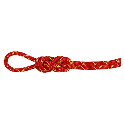 마무트 Alpine Core Protect Dry 8 mm 로프 2141920792