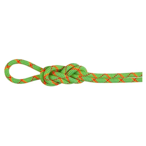 마무트 Alpine Core Protect Dry 8 mm 로프 2141920796