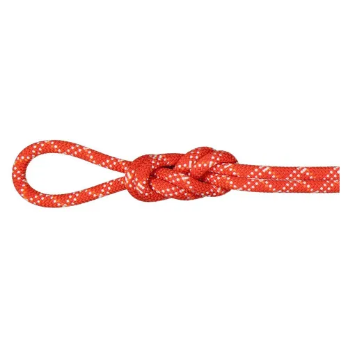 마무트 Gym Classic 9.5 mm 로프 2141920874