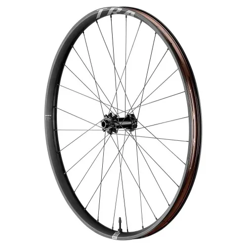 자이언트 TRA 29´´ Boost 6B Disc Tubeless Hookless MTB 앞바퀴 3141730649