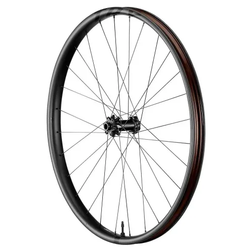 자이언트 TRX 29´´ Boost 6B Disc Tubeless Hookless MTB 앞바퀴 3141730652