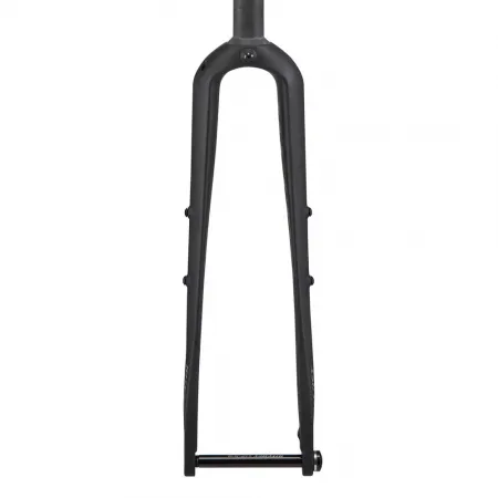 리치 WCS Carbon Brevet 로드 포크 3141810313
