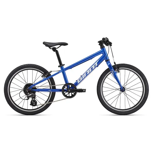 자이언트 ARX 20in Altus RD-M310 2025 산악자전거 3142160637