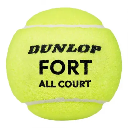 던롭 TB Fort All Court TS 테니스 공 6141772419