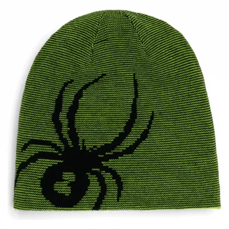 스파이더 Reversible Bug 비니 8142495077