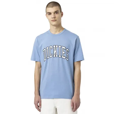 DICKIES Aitkin 반팔 티셔츠 9138420898