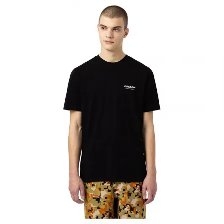 DICKIES Artondale Box 반팔 티셔츠 9138420908