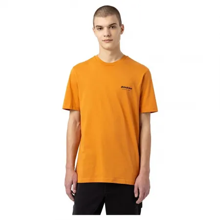 DICKIES Artondale Box 반팔 티셔츠 9138420910