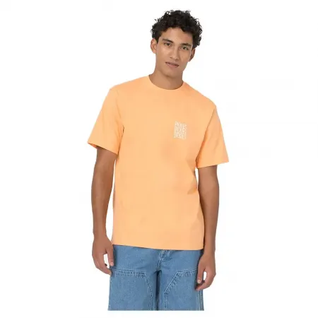 DICKIES Creswell 반팔 티셔츠 9139549470