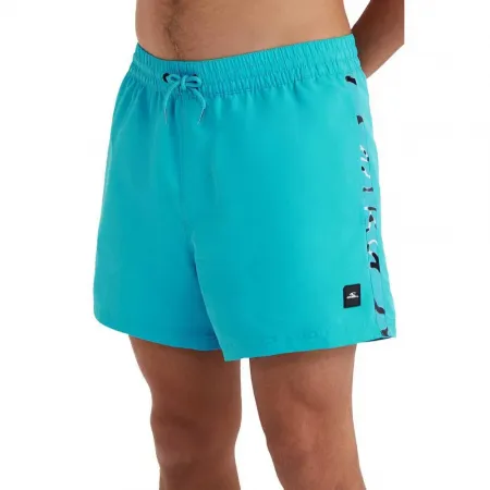 오닐 Jack Vert Retro 14in 수영 반바지 9140665576