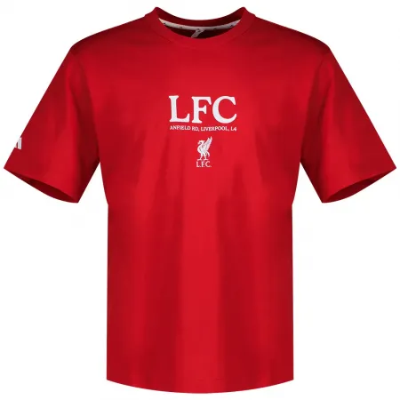 아디다스 Liverpool FC Seasonal 그래픽 반팔 티셔츠 142649556