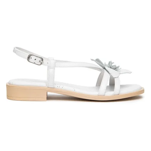 네로지아르디니 E615901D 샌들 142931569