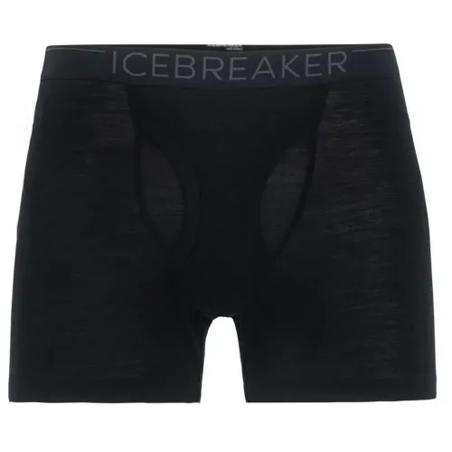 ICEBREAKER 175 Everydays 메리노 복서 브리프 2136880094