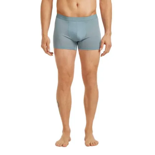 아이스브레이커 메리노 125 쿨-라이트 Anatomica 복서 브리프 2142933661