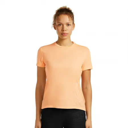 아이스브레이커 메리노 Core Panax 반팔 티셔츠 2142965223