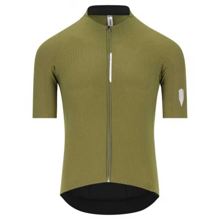 Q36.5 Dottore Pro 반팔 져지 3142522315