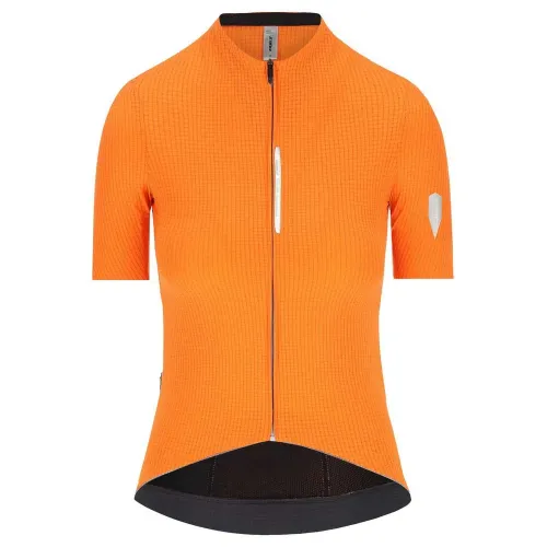 Q36.5 Dottore Pro 반팔 져지 3142522320