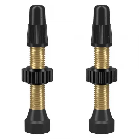 WTB TCS Brass 프레스타 34 mm 밸브 2 단위 3142683837