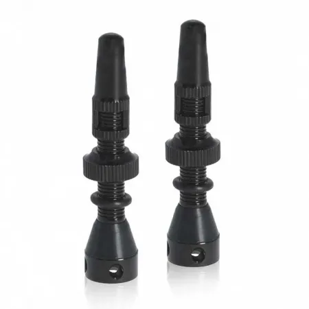 슈발베 Presta 튜블리스 60 mm 밸브 2 단위 3142745931